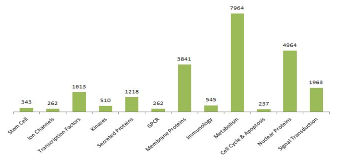 UltraMAB Antibody Specificity Service