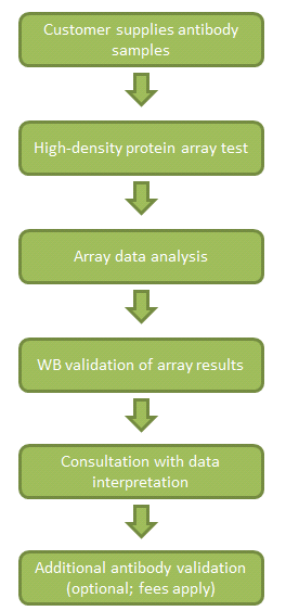 UltraMAB Array Test Service Scope