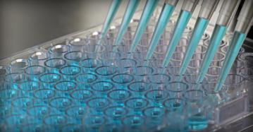 ELISA Antibody Pairs