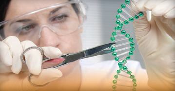 Gene Expression